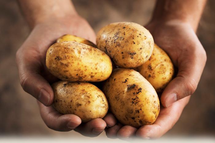 krumpir sreća karakteristična za vrstu