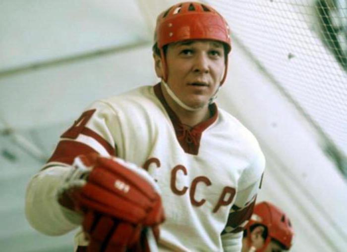 A. Maltsev, igrač hokeja: biografija, osobni život, fotografija
